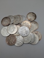  American Silver Eagle 1oz .999 Fine (Mixed Dates) 